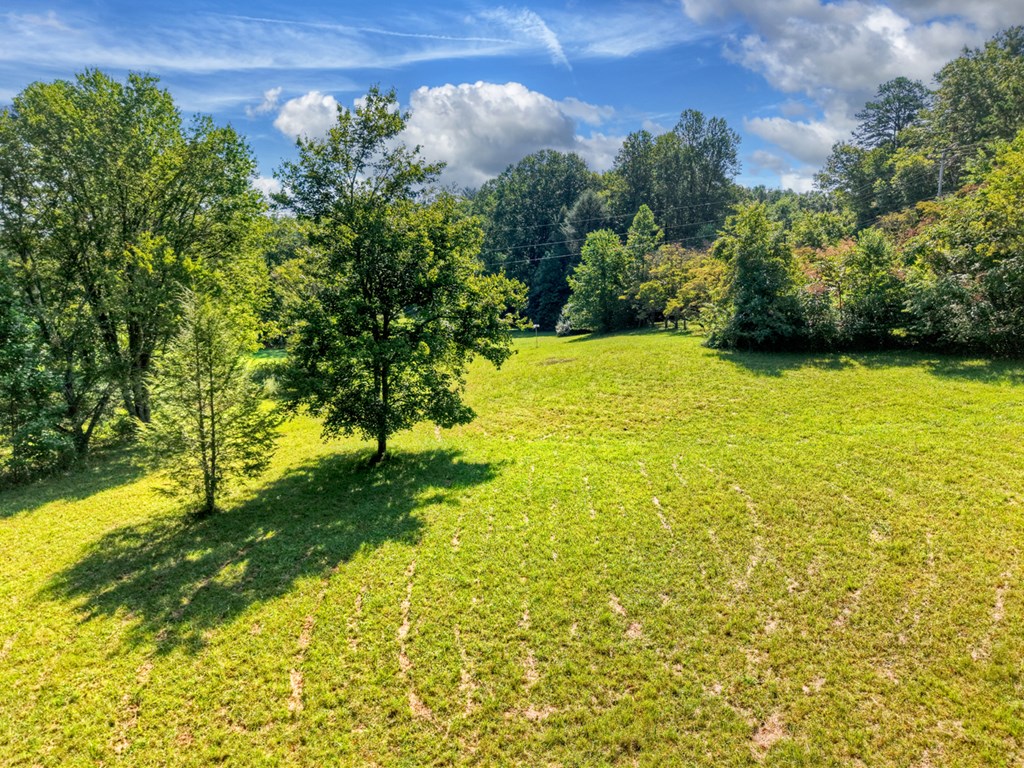 0 Hwy 2 Blue Ridge Blue Ridge, GA 30513 - Photo 11 of 20