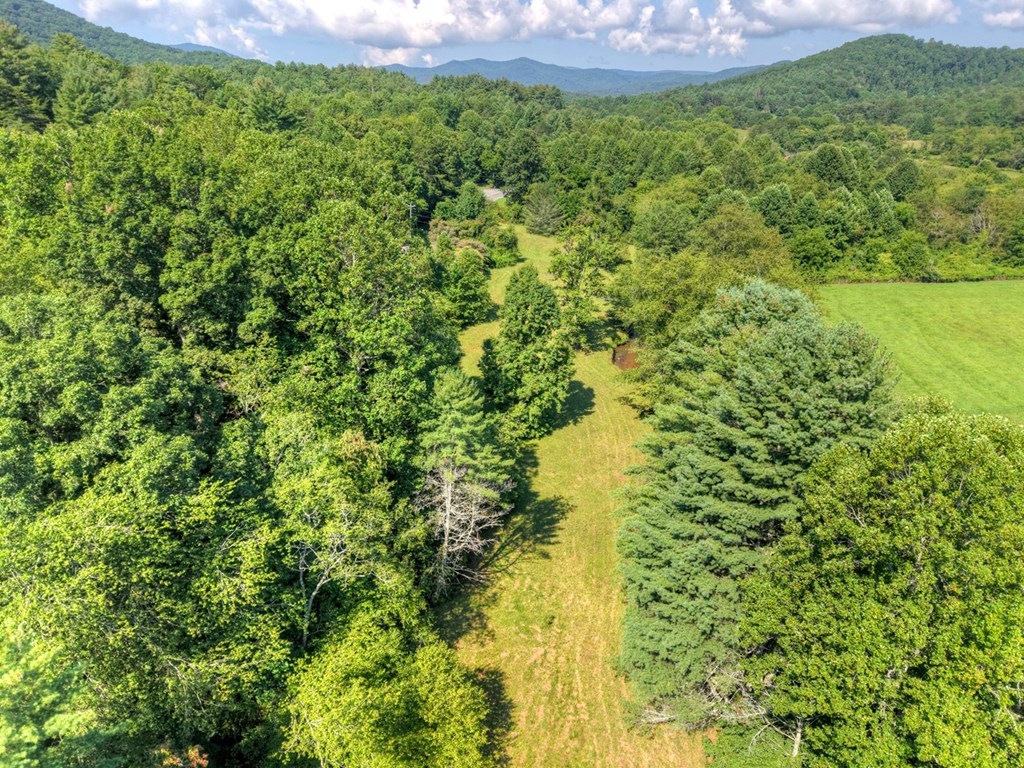 0 Hwy 2 Blue Ridge Blue Ridge, GA 30513 - Photo 19 of 20