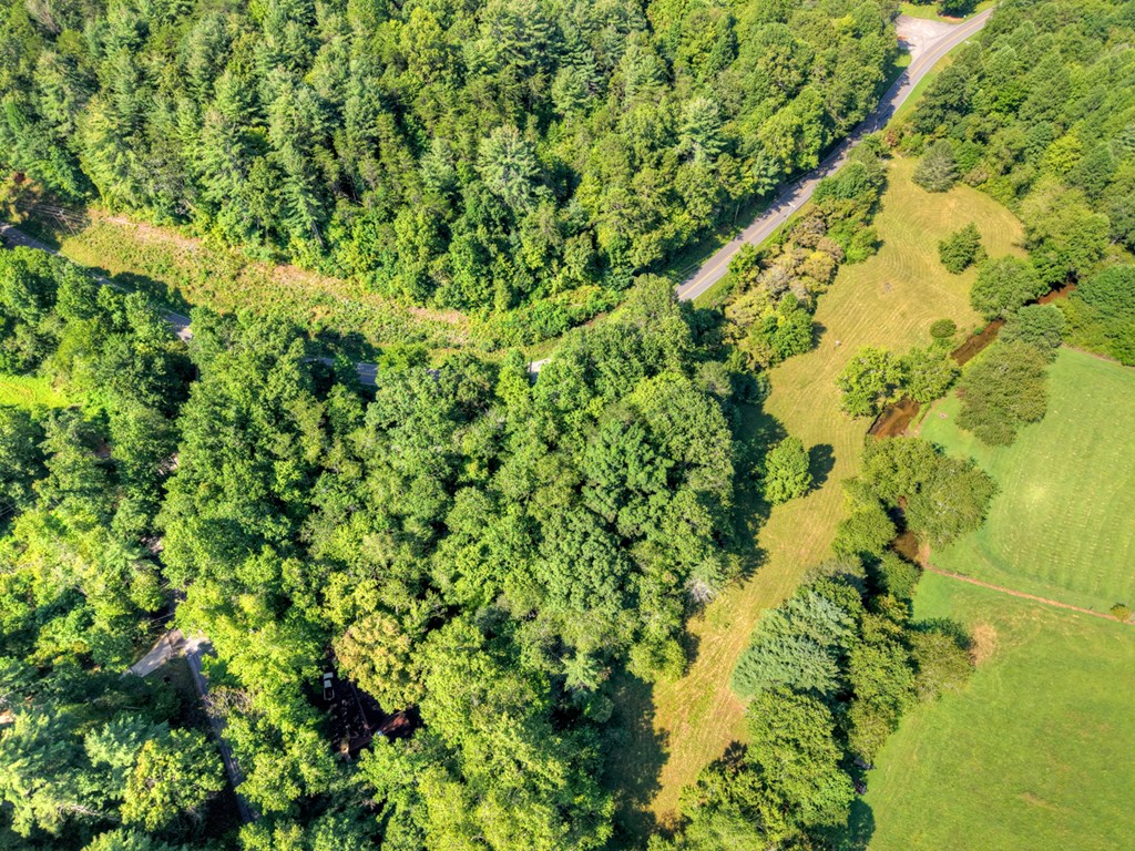 0 Hwy 2 Blue Ridge Blue Ridge, GA 30513 - Photo 20 of 20