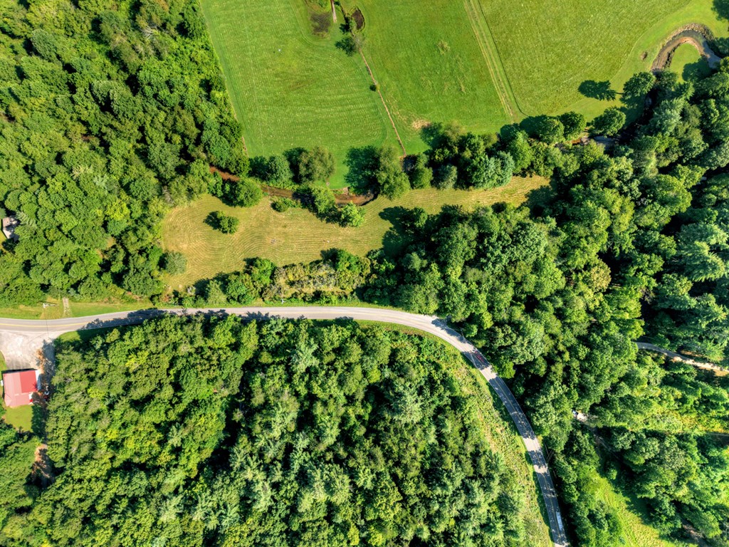 0 Hwy 2 Blue Ridge Blue Ridge, GA 30513 - Photo 2 of 20