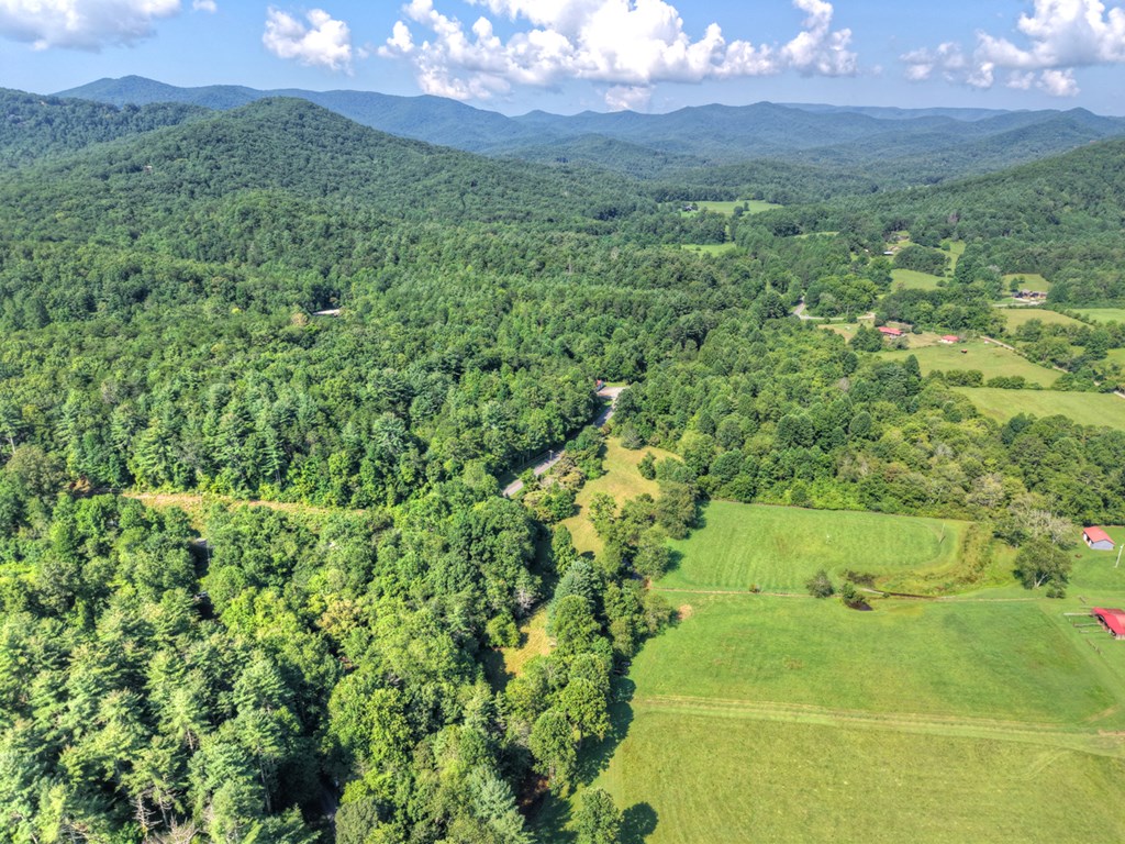 0 Hwy 2 Blue Ridge Blue Ridge, GA 30513 - Photo 4 of 20