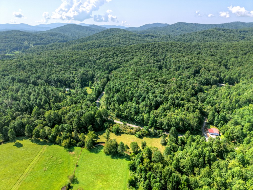 0 Hwy 2 Blue Ridge Blue Ridge, GA 30513 - Photo 5 of 20