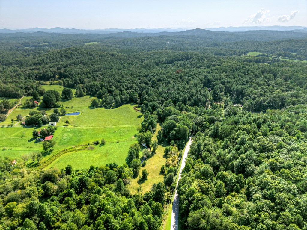 0 Hwy 2 Blue Ridge Blue Ridge, GA 30513 - Photo 6 of 20