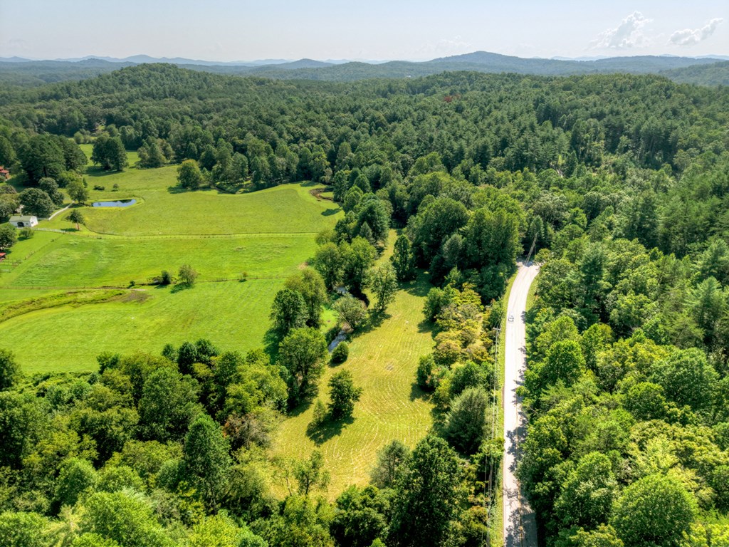 0 Hwy 2 Blue Ridge Blue Ridge, GA 30513 - Photo 7 of 20