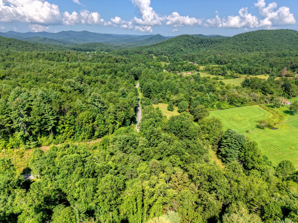 0 Hwy 2 Blue Ridge Blue Ridge, GA 30513 - Photo 8 of 20