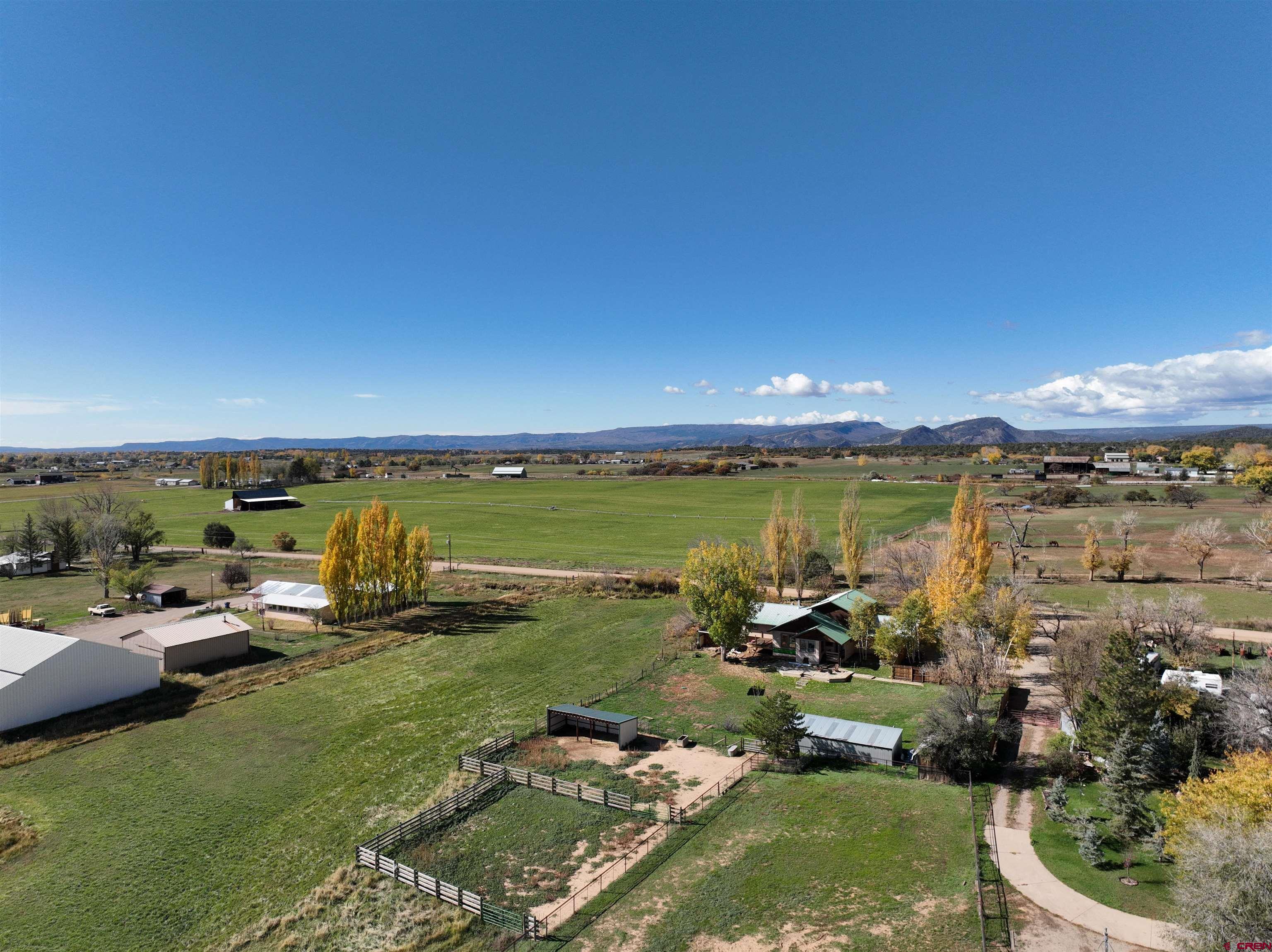 930 County Road 229 Durango, CO 81301 - Photo 4 of 32 a view of a swimming pool and lounge chairs in back yard