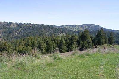 29547 Bohan Dillon Road Cazadero, CA 95421 - Photo 4 of 12 View east goes south (please note directions are approximate)