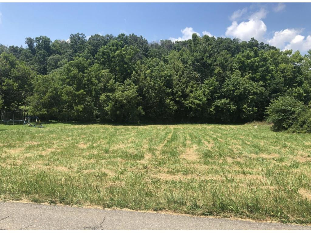 Lot 2 Afton Road, Unit 2 Afton, TN 37616 - Photo 2 of 2 Photo 2