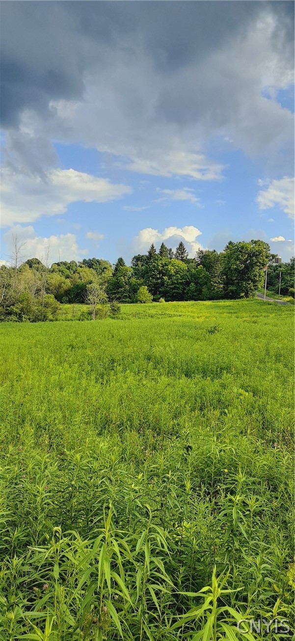 271 Snyder Road Newport, NY 13416 - Photo 30 of 41