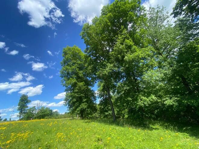 4.15 Davidson Road Burkesville, KY 42717 - Photo 4 of 6 11336306-7p9sVXTQ2WNyLnVk