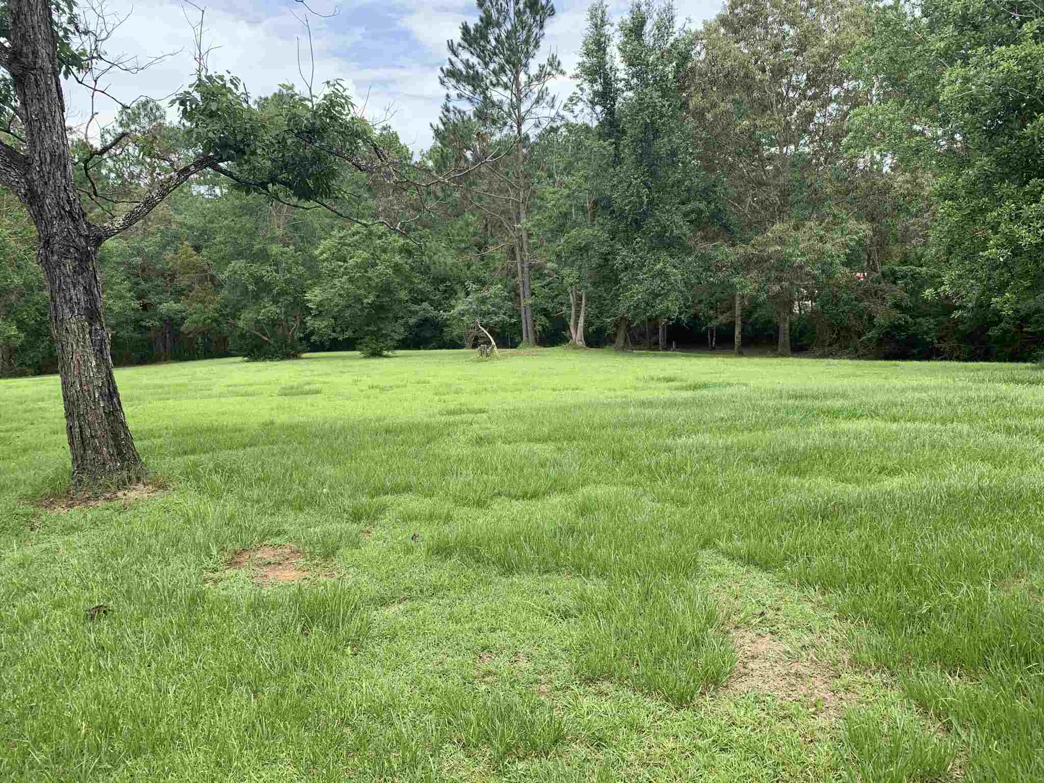 29735 County Road 65 Loxley, AL 36551 - Photo 9 of 24
