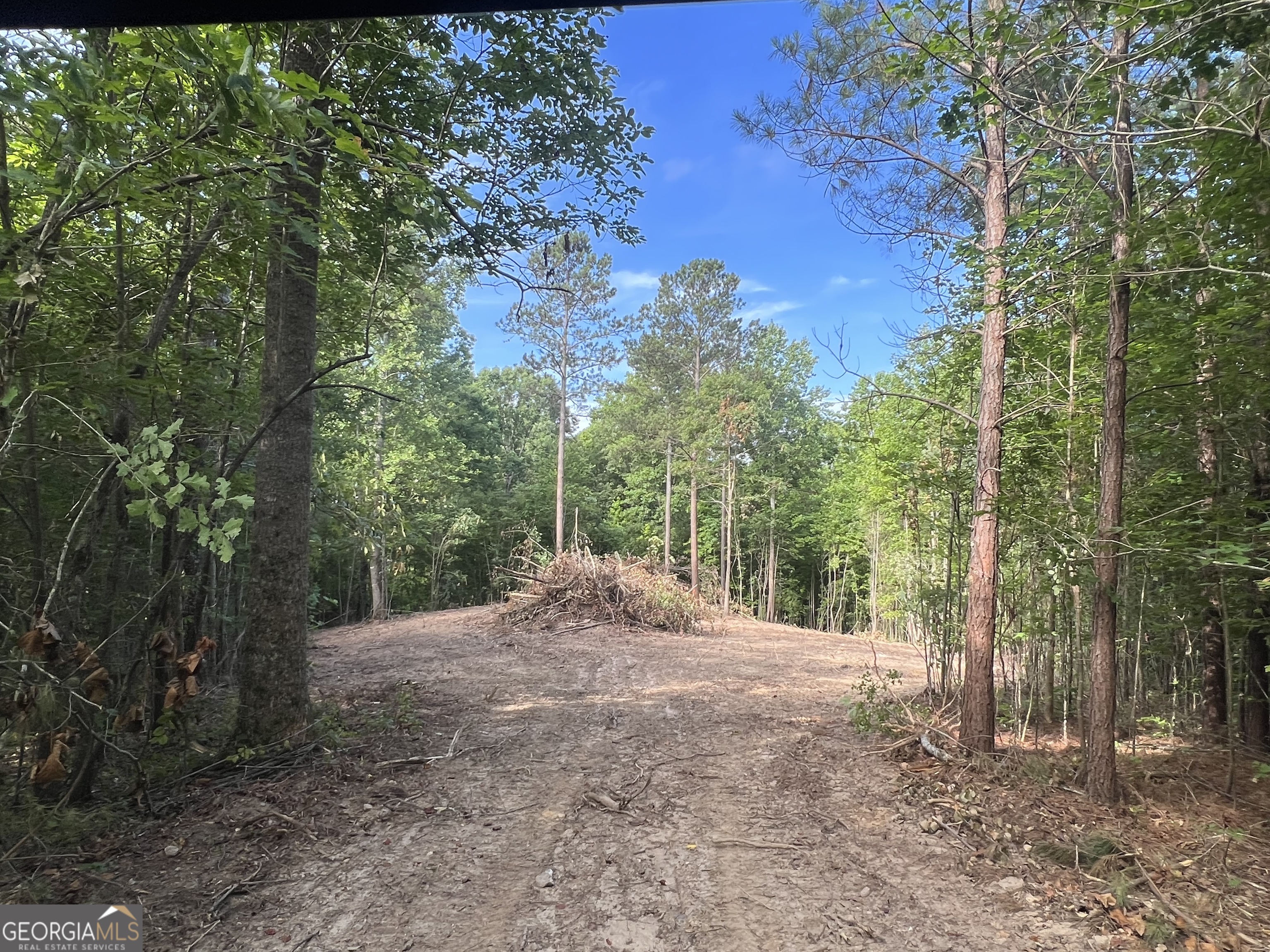 Lot 2 Gum Creek Airport Road, Unit 2 Roopville, GA 30170 - Photo 1 of 1