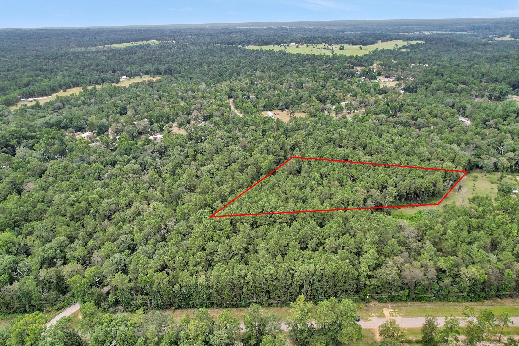 Lot 21 East Double Crk Road Willis, TX 77378 - Photo 2 of 12 a view of a green field with lots of green plants in it