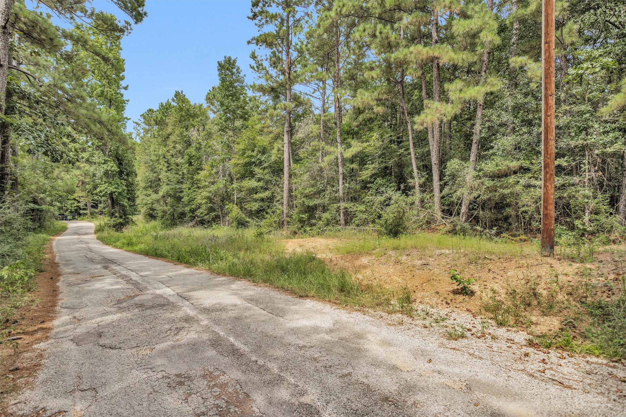 Lot 21 East Double Crk Road Willis, TX 77378 - Photo 6 of 12 a view of a yard with trees