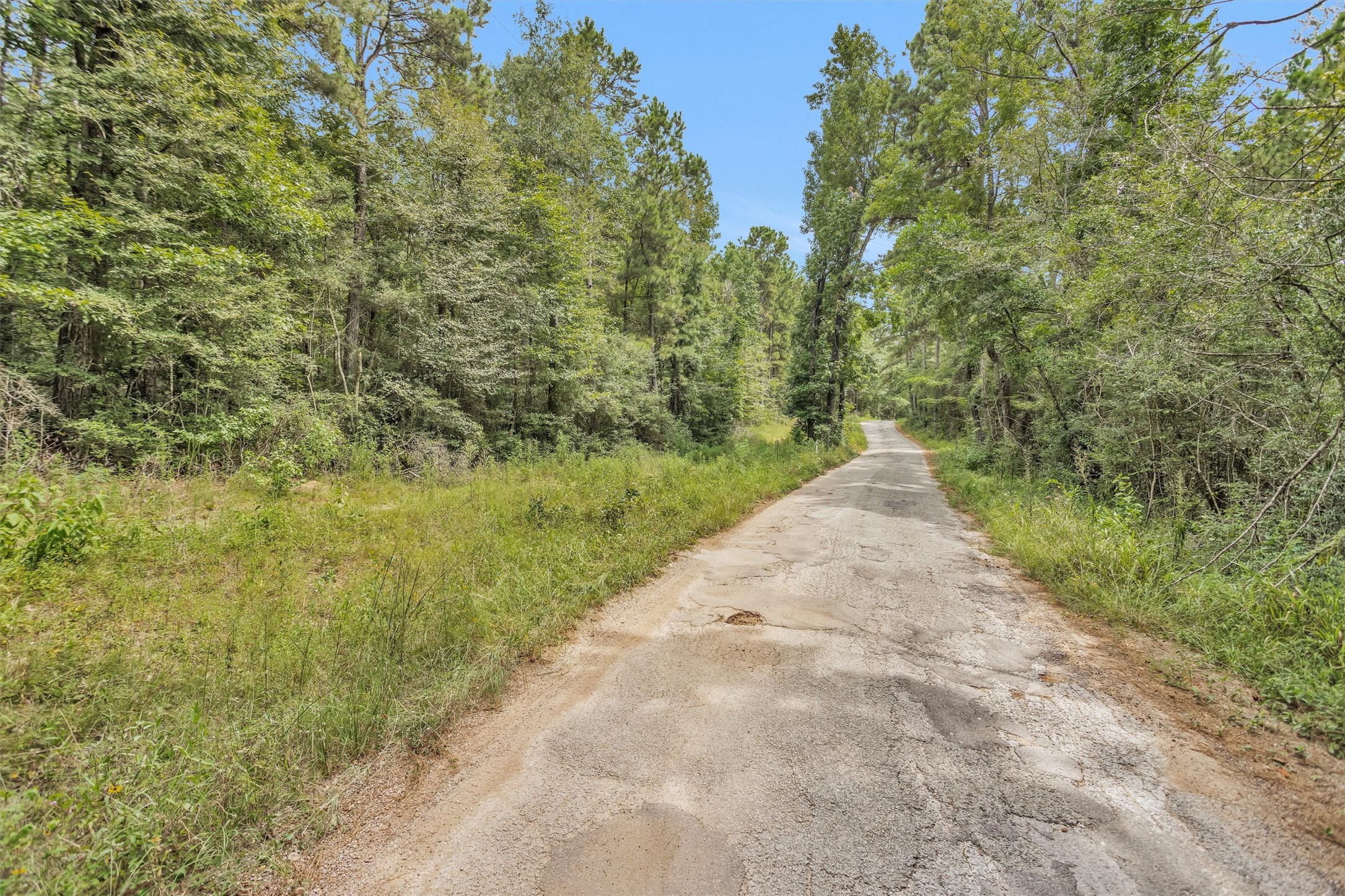 Lot 21 East Double Crk Road Willis, TX 77378 - Photo 7 of 12 a view of a pathway both side of yard and green space