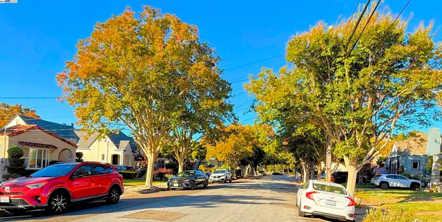 a view of street with trees