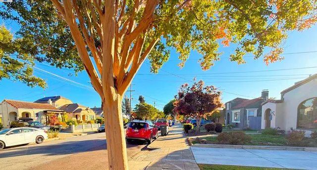 a car parked in front of a house with a yard