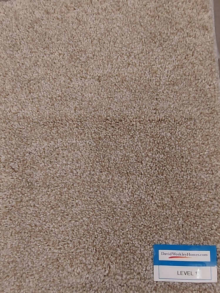 4108 Ranch Home Drive Waller, TX 77484 - Photo 5 of 22 Carpet Selection