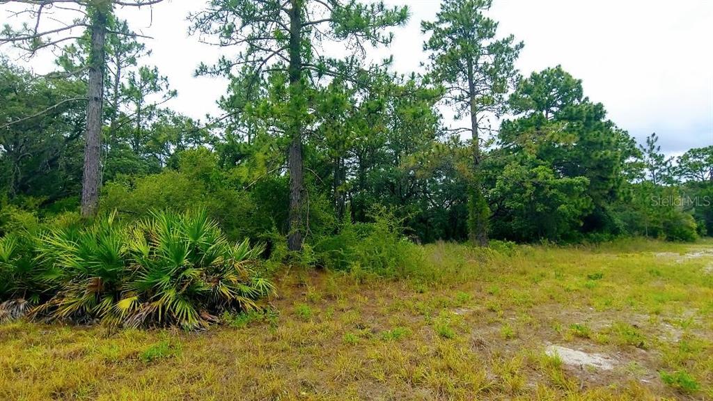 11056 Marmotte Road Weeki Wachee, FL 34614 - Photo 1 of 1 Lot View from Hexam Road