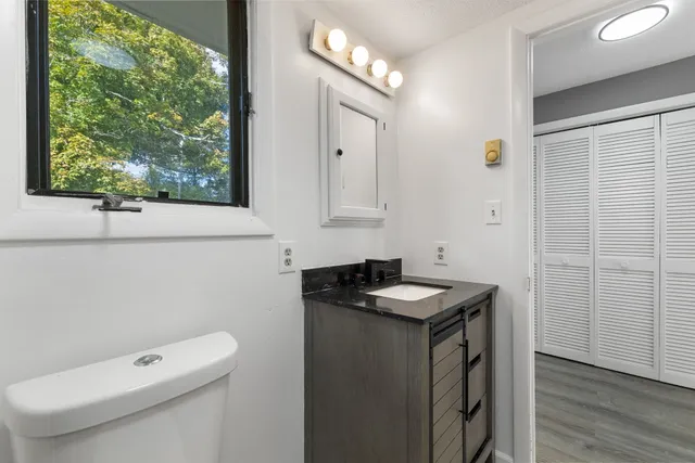 a bathroom with a sink a toilet and a mirror