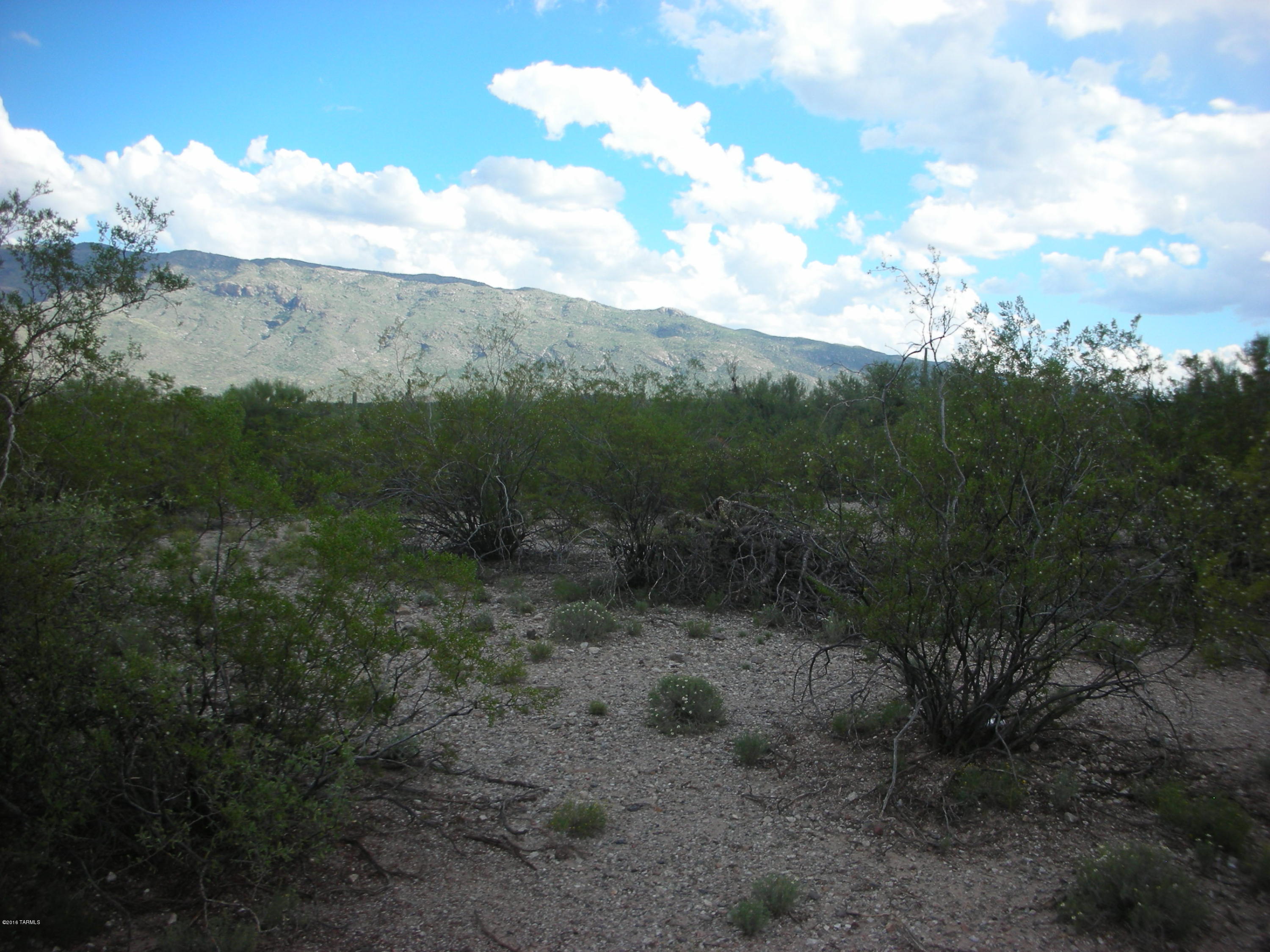 South Freeman Road Tucson, AZ 85748 - Photo 7 of 12