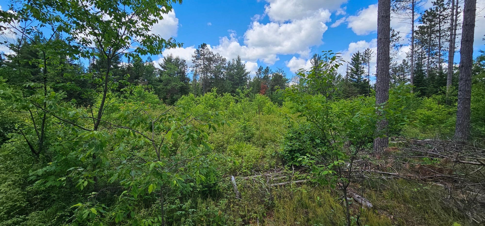 Lot 4 Baade Road Rhinelander, WI 54501 - Photo 9 of 16