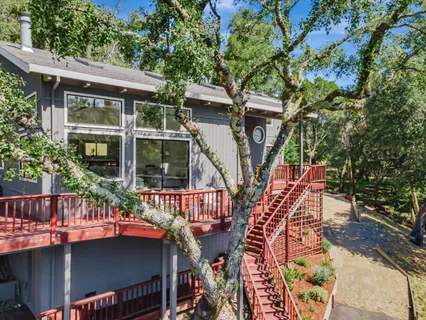 a roof deck with table and chairs potted plants