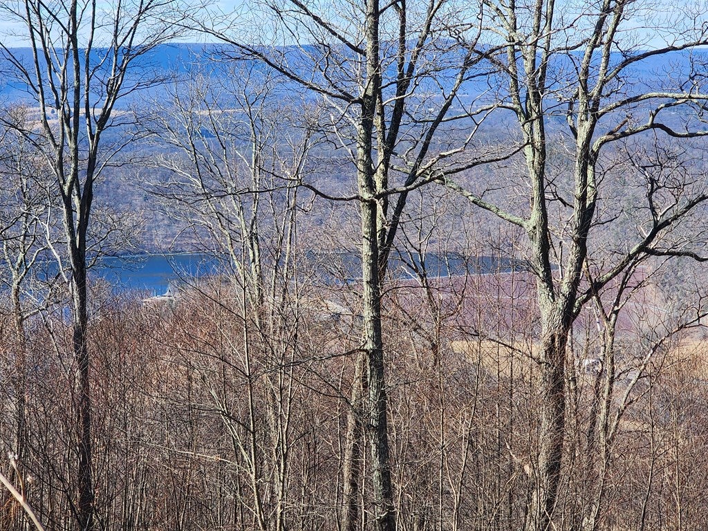 12814 Corbin Road Huntingdon, PA 16652 - Photo 3 of 41 Gallery Image 3