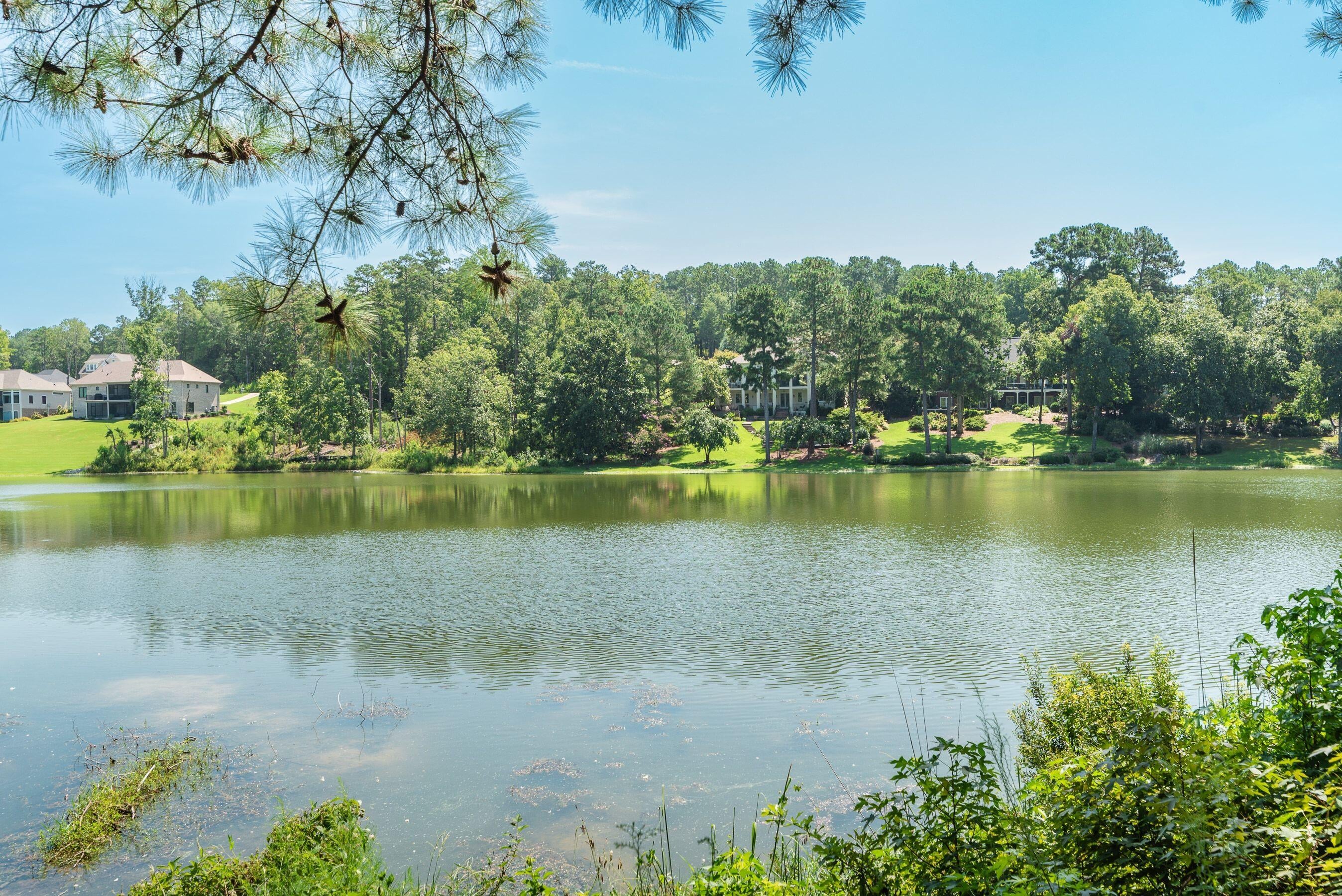 532 Forest Bluffs Road Aiken, SC 29803 - Photo 52 of 58 Gallery Image 52