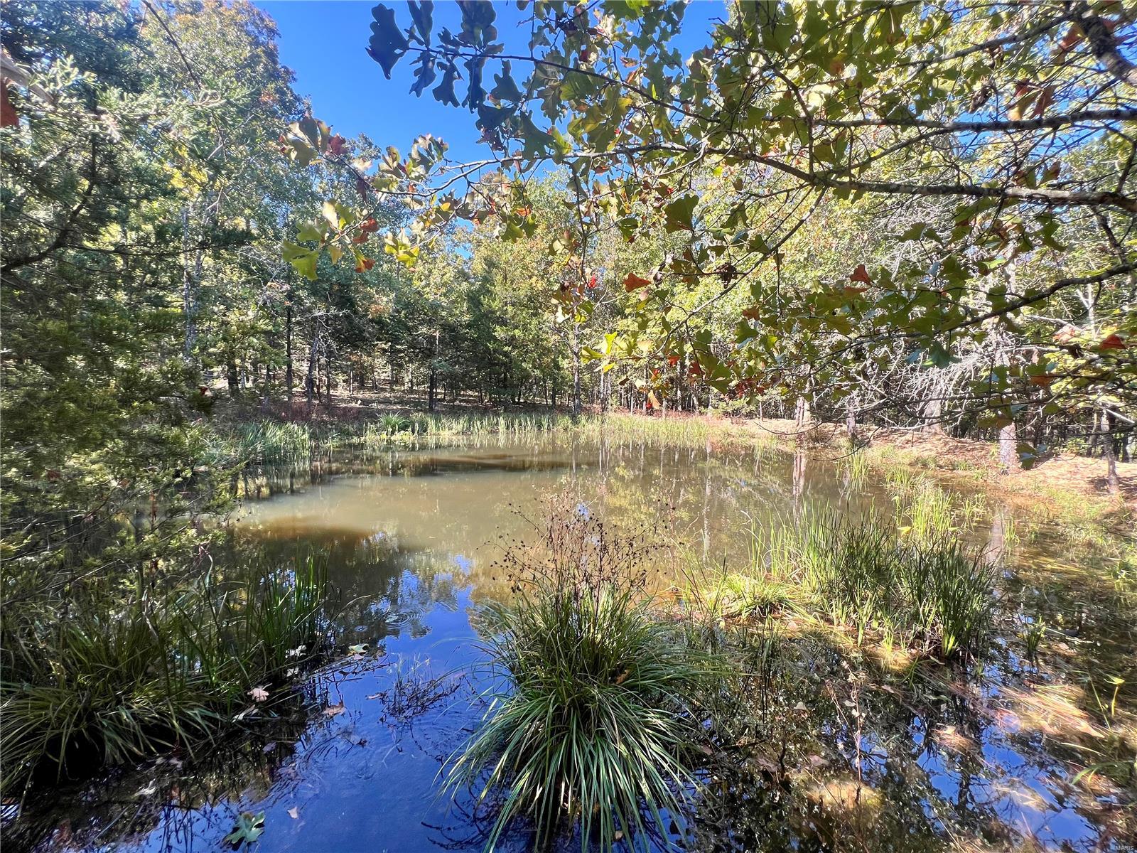 0 Bell Road Success, MO 65570 - Photo 11 of 37