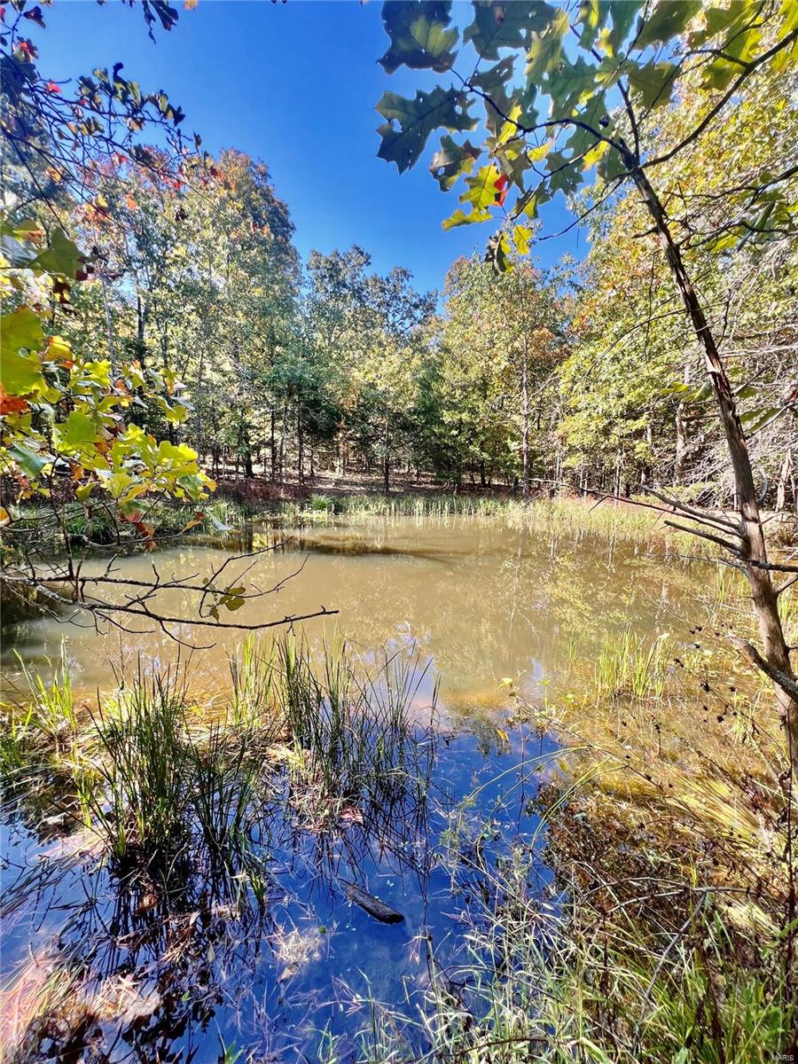 0 Bell Road Success, MO 65570 - Photo 12 of 37