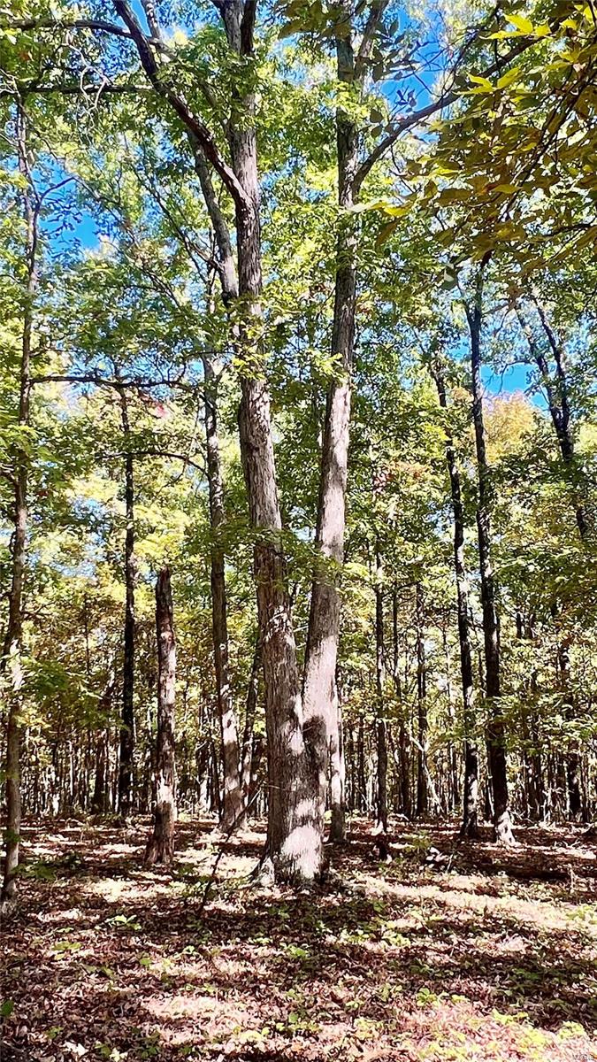 0 Bell Road Success, MO 65570 - Photo 13 of 37