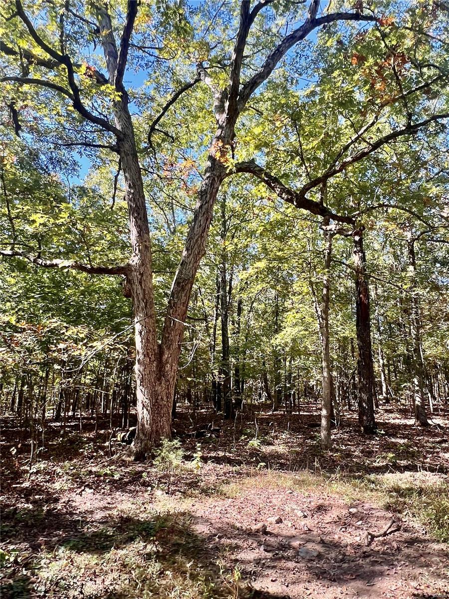 0 Bell Road Success, MO 65570 - Photo 14 of 37