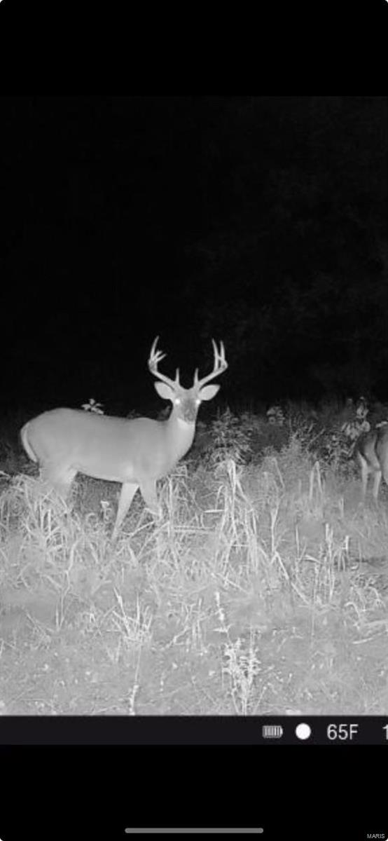 0 Bell Road Success, MO 65570 - Photo 17 of 37