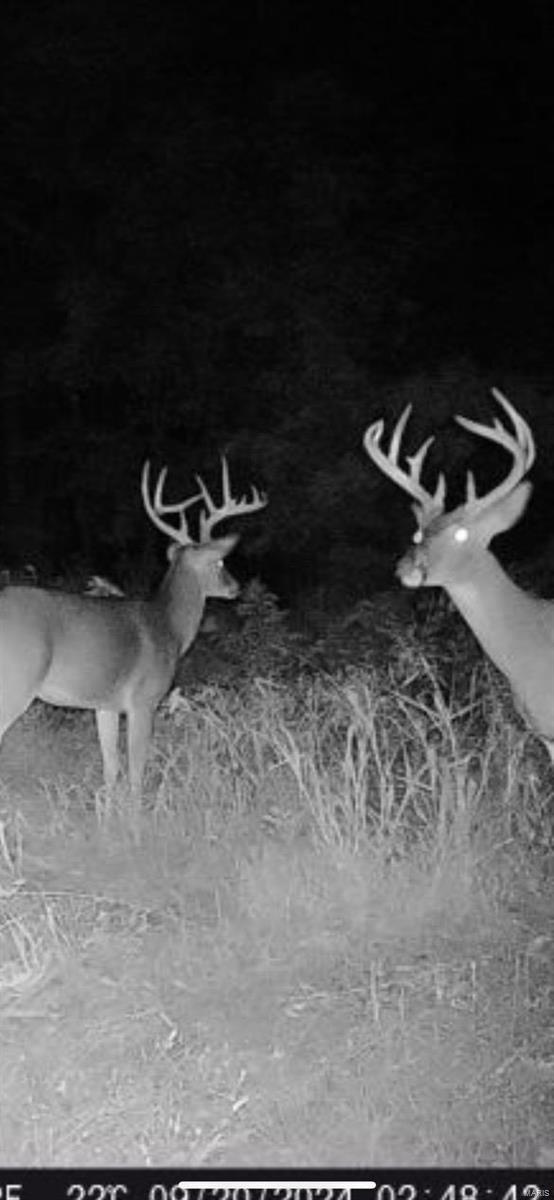 0 Bell Road Success, MO 65570 - Photo 18 of 37