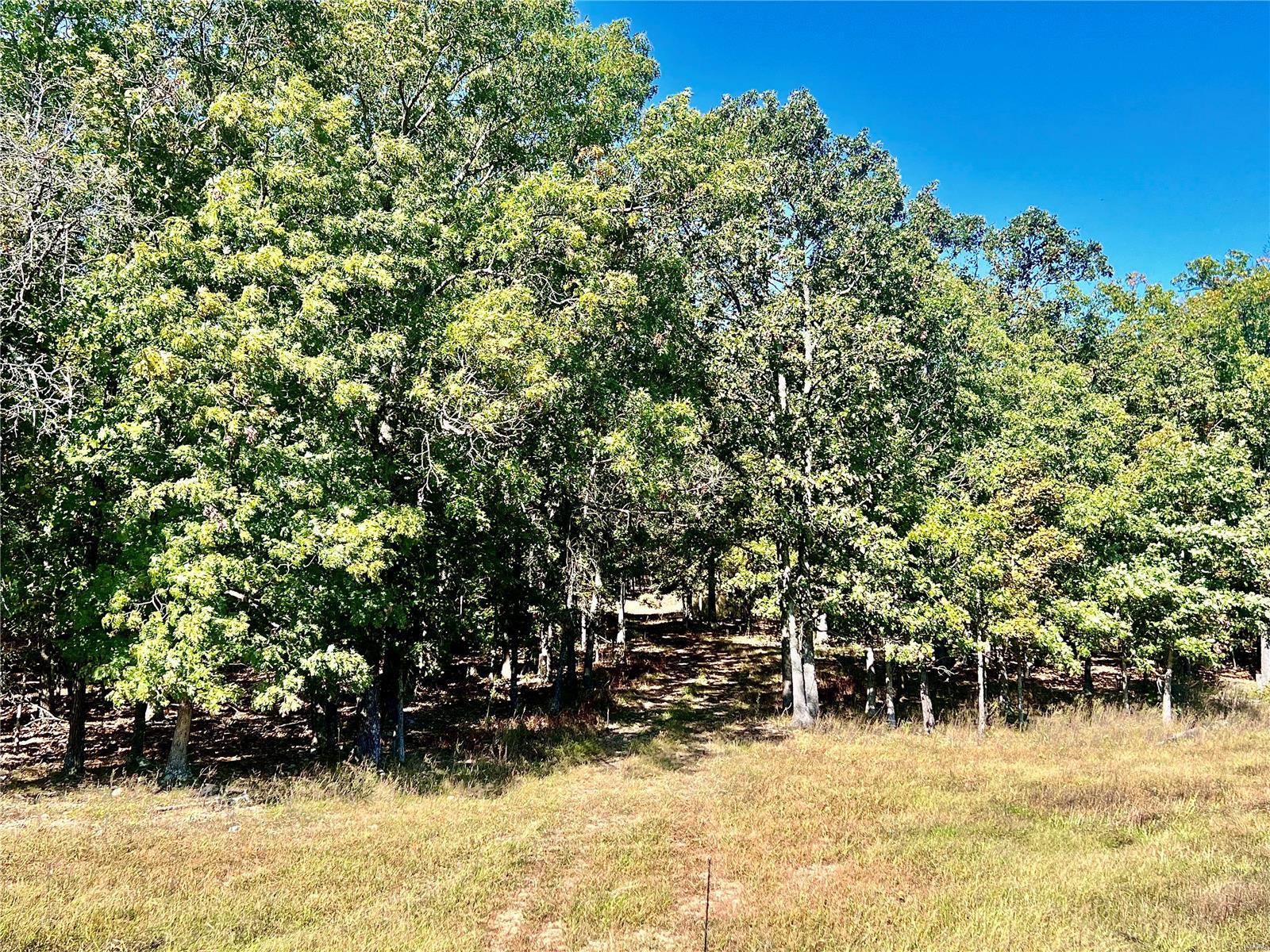 0 Bell Road Success, MO 65570 - Photo 19 of 37