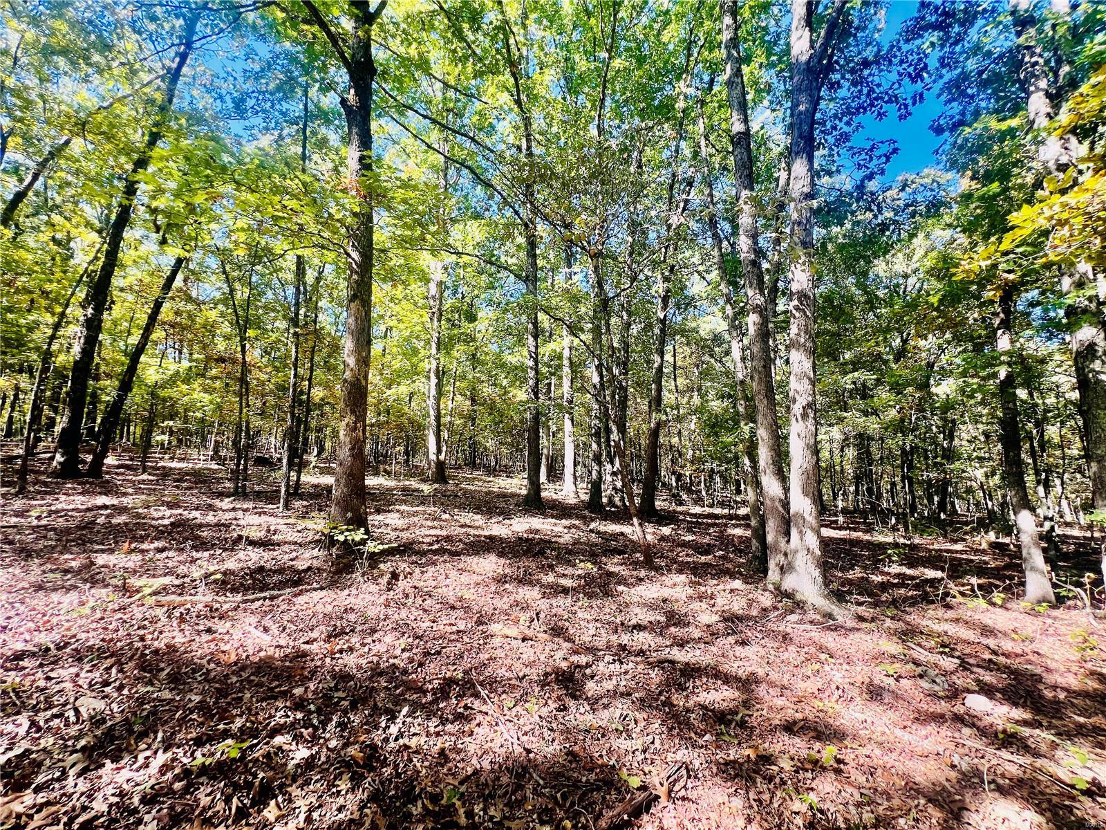 0 Bell Road Success, MO 65570 - Photo 21 of 37