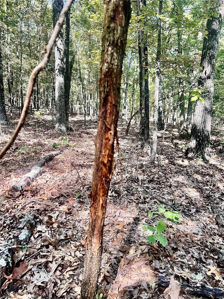 0 Bell Road Success, MO 65570 - Photo 22 of 37