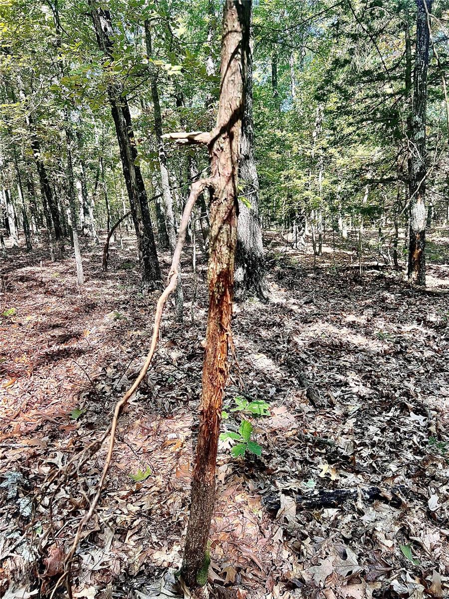 0 Bell Road Success, MO 65570 - Photo 23 of 37