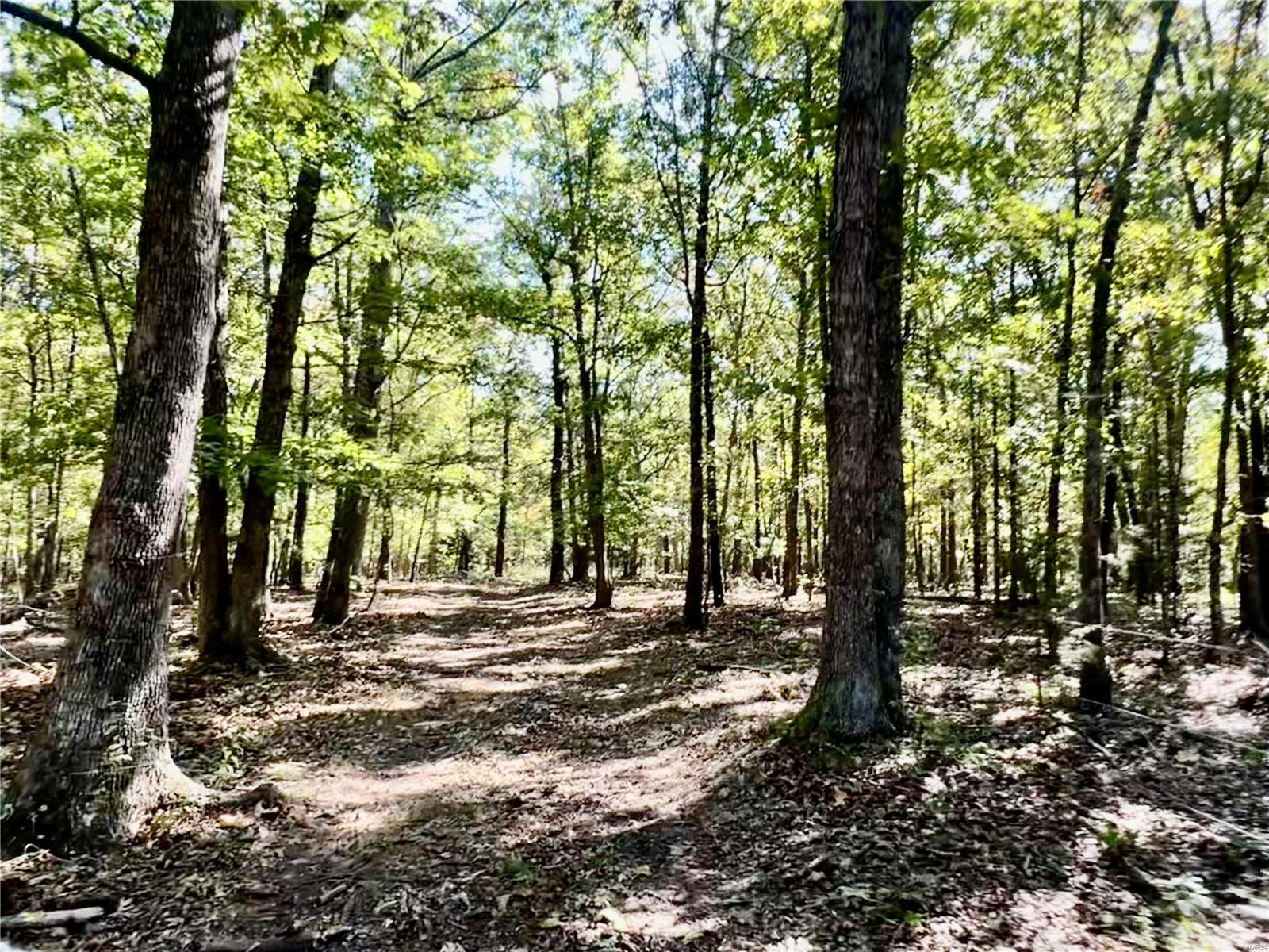 0 Bell Road Success, MO 65570 - Photo 24 of 37