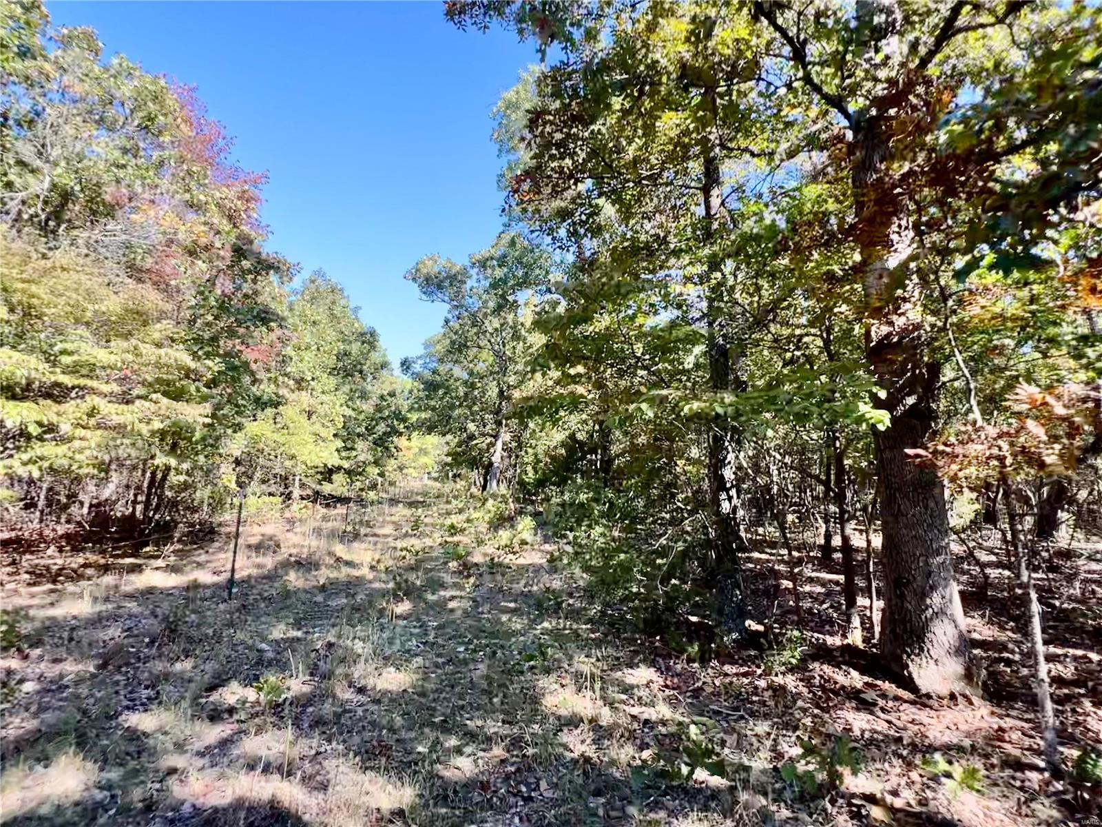 0 Bell Road Success, MO 65570 - Photo 25 of 37