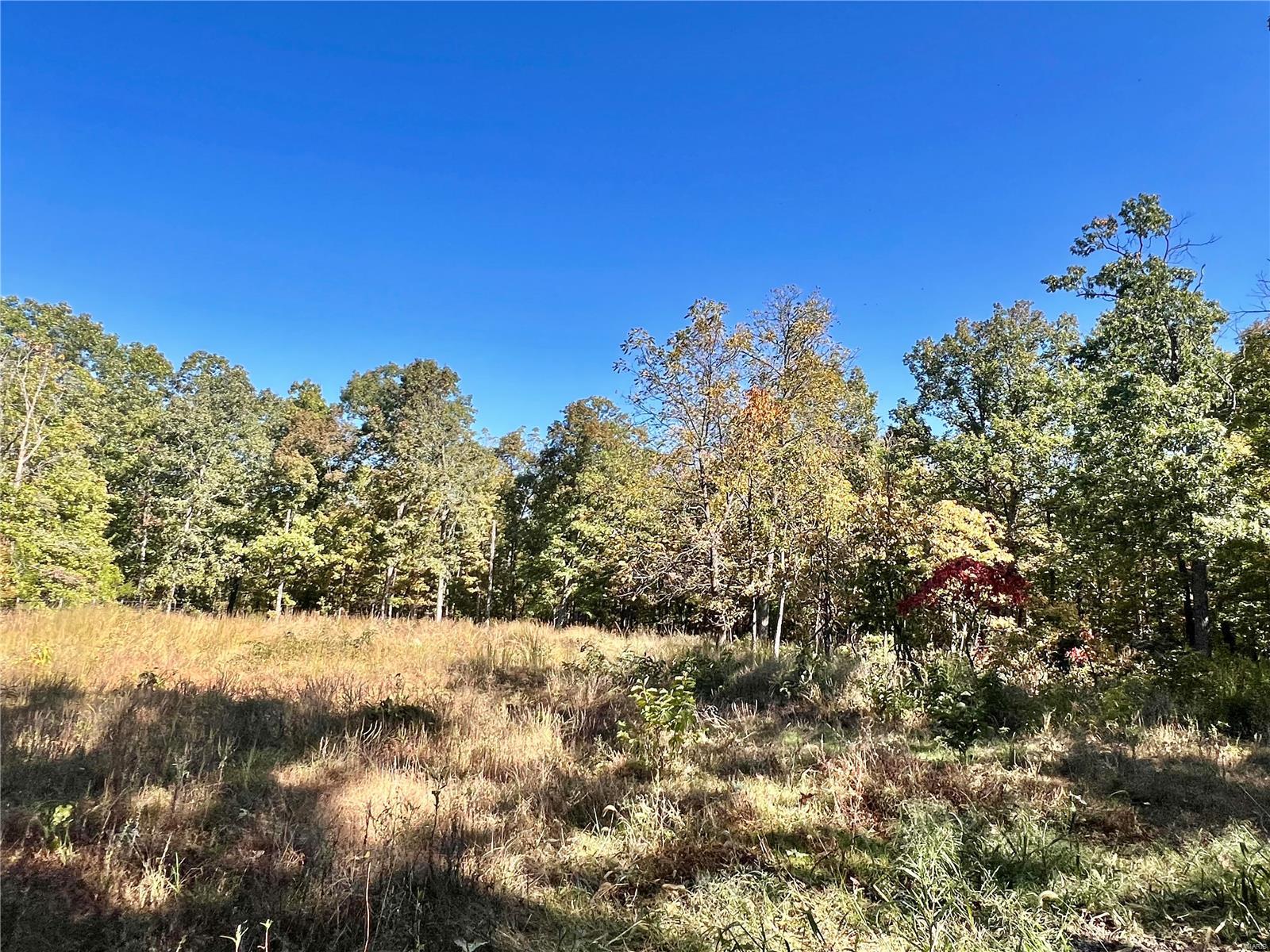 0 Bell Road Success, MO 65570 - Photo 26 of 37