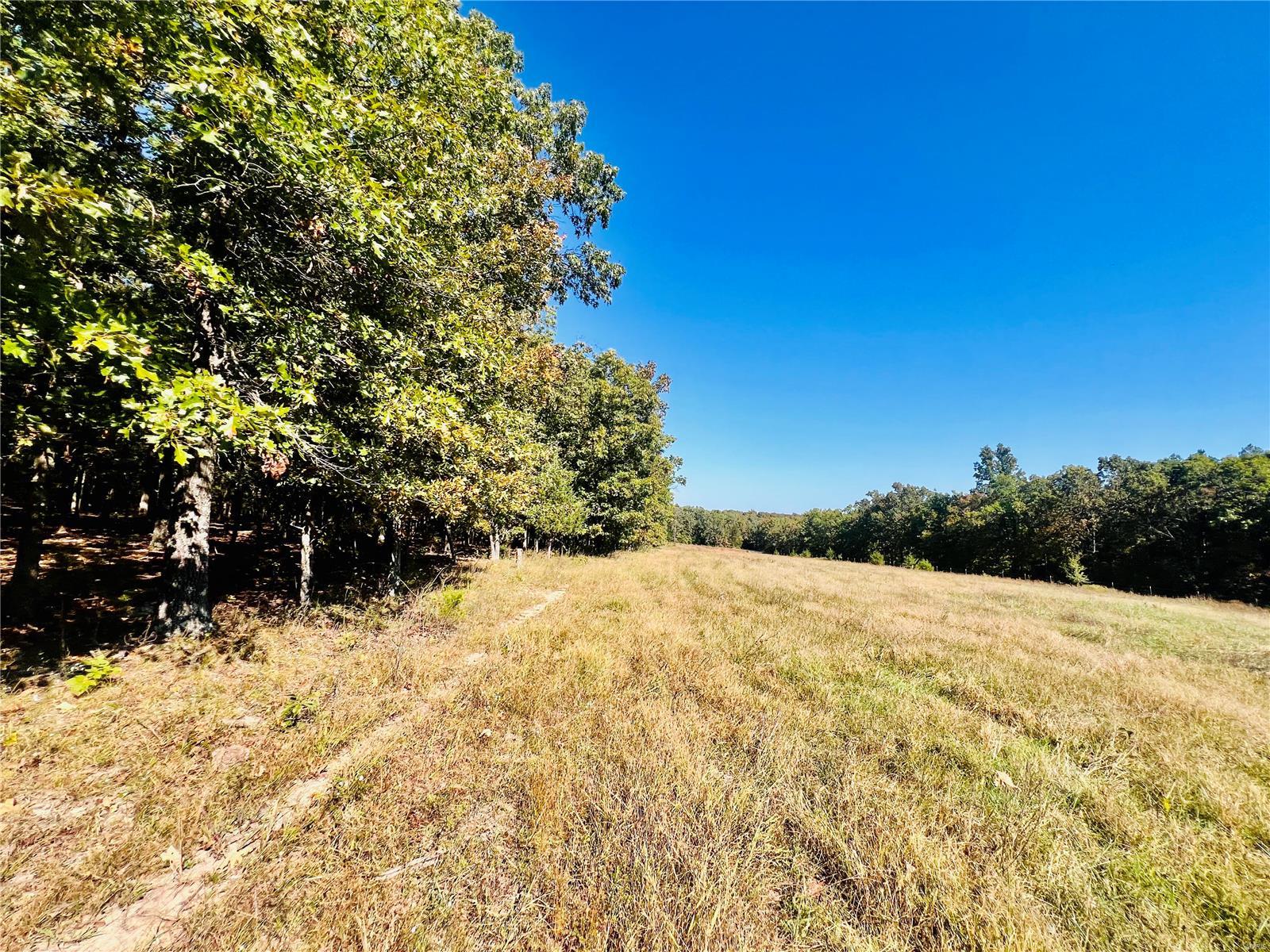 0 Bell Road Success, MO 65570 - Photo 27 of 37