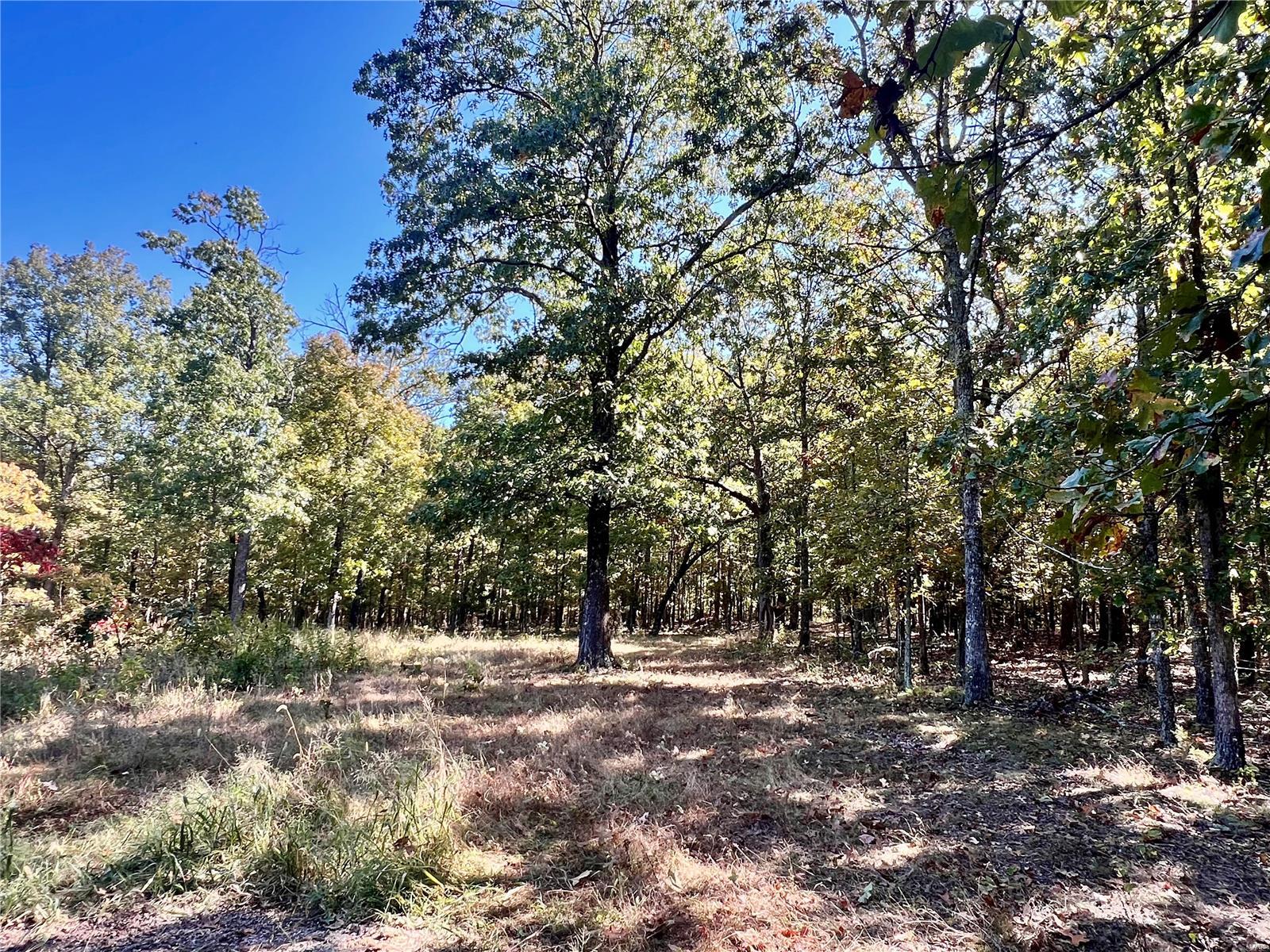 0 Bell Road Success, MO 65570 - Photo 28 of 37