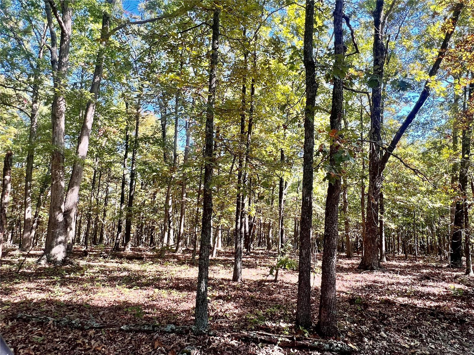 0 Bell Road Success, MO 65570 - Photo 29 of 37