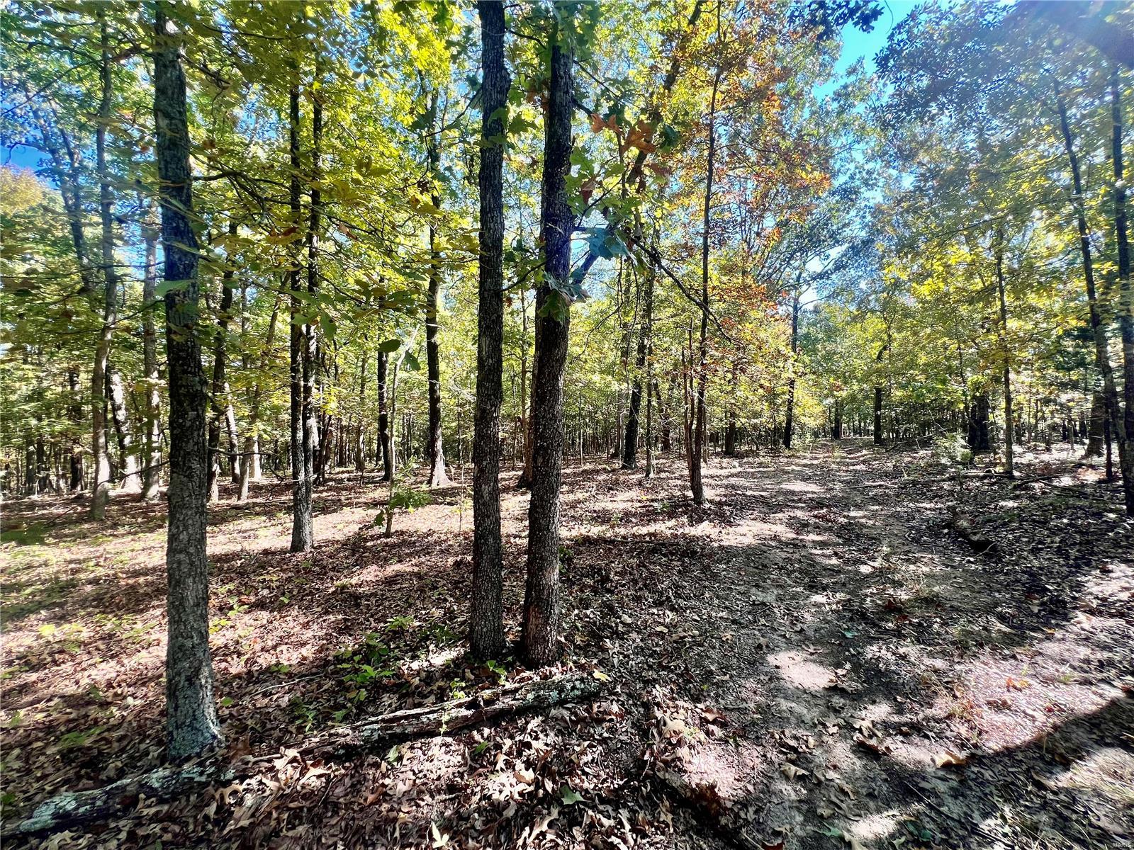 0 Bell Road Success, MO 65570 - Photo 30 of 37