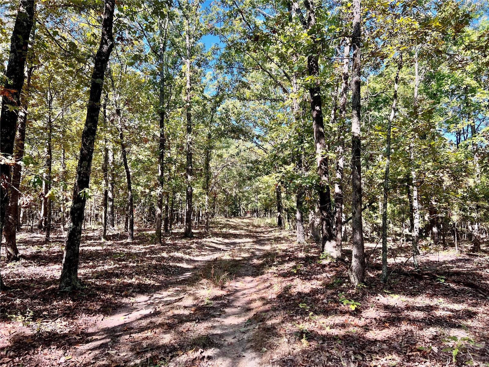 0 Bell Road Success, MO 65570 - Photo 31 of 37