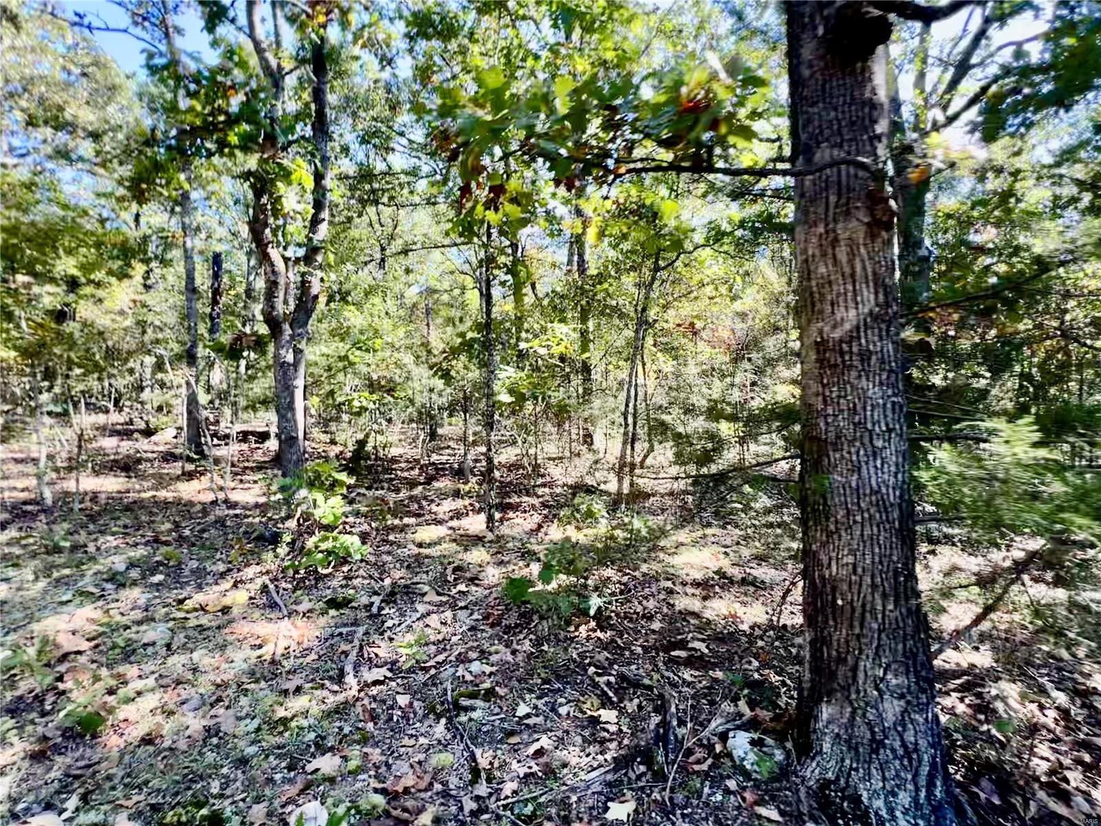 0 Bell Road Success, MO 65570 - Photo 33 of 37