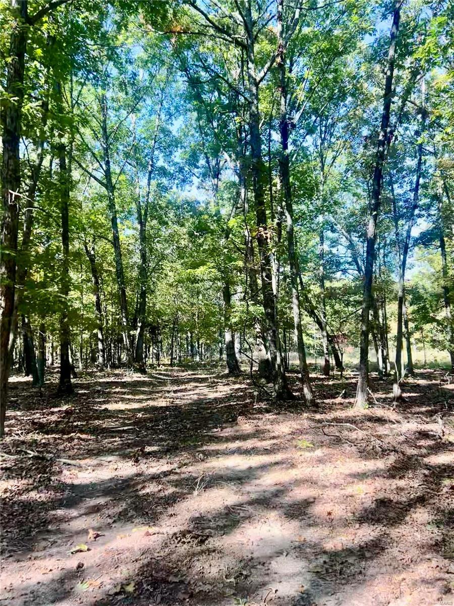 0 Bell Road Success, MO 65570 - Photo 34 of 37