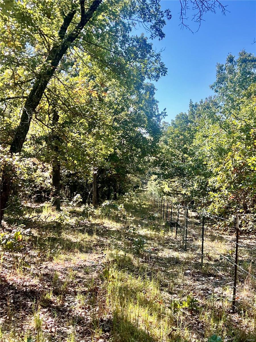 0 Bell Road Success, MO 65570 - Photo 35 of 37